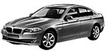 BMW F10 U1174 Fault Code